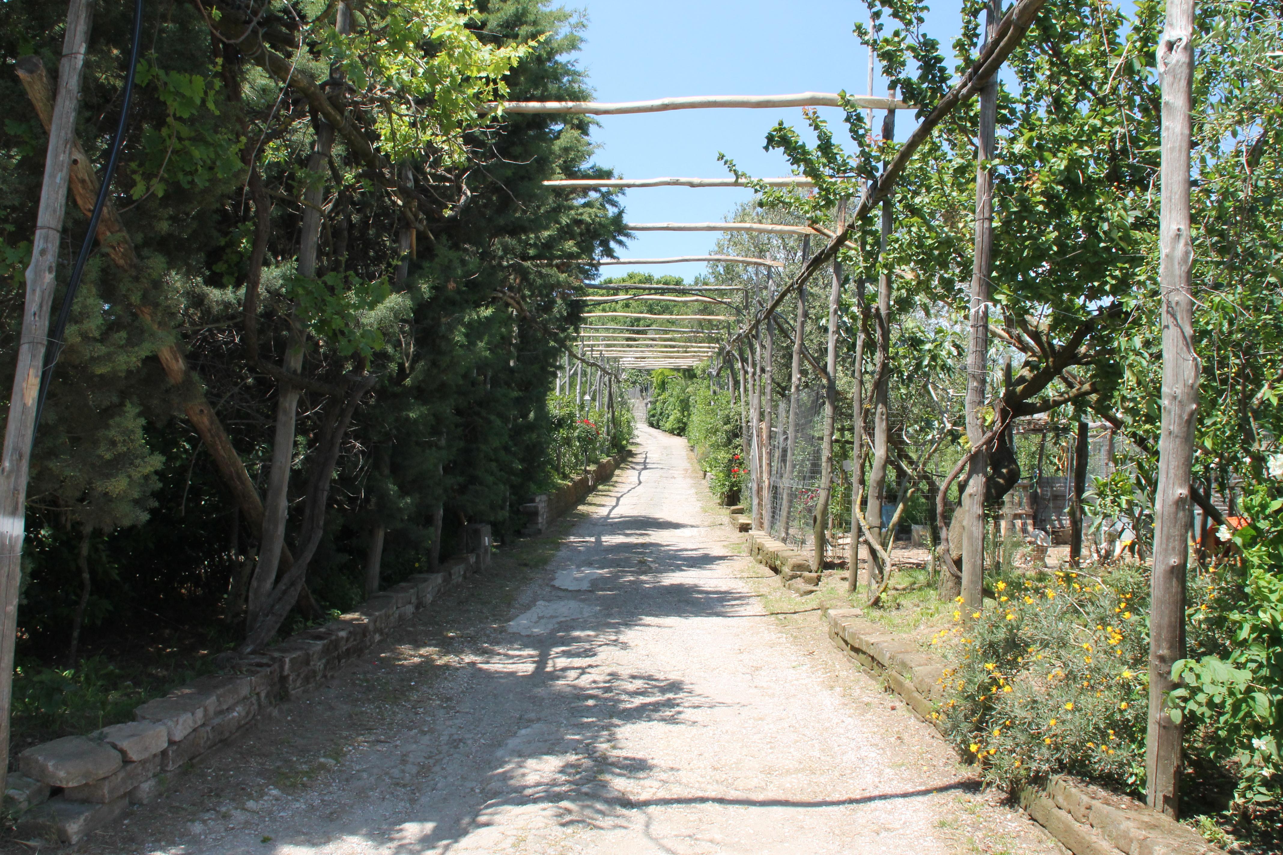 Agriturismo Piccolo Paradiso Piano di Sorrento Eksteriør bilde