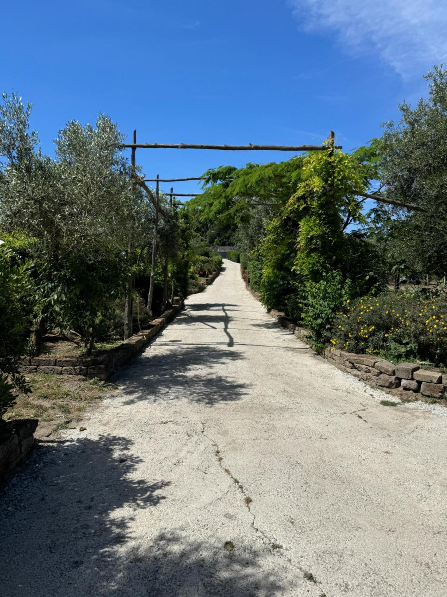 Agriturismo Piccolo Paradiso Piano di Sorrento Eksteriør bilde