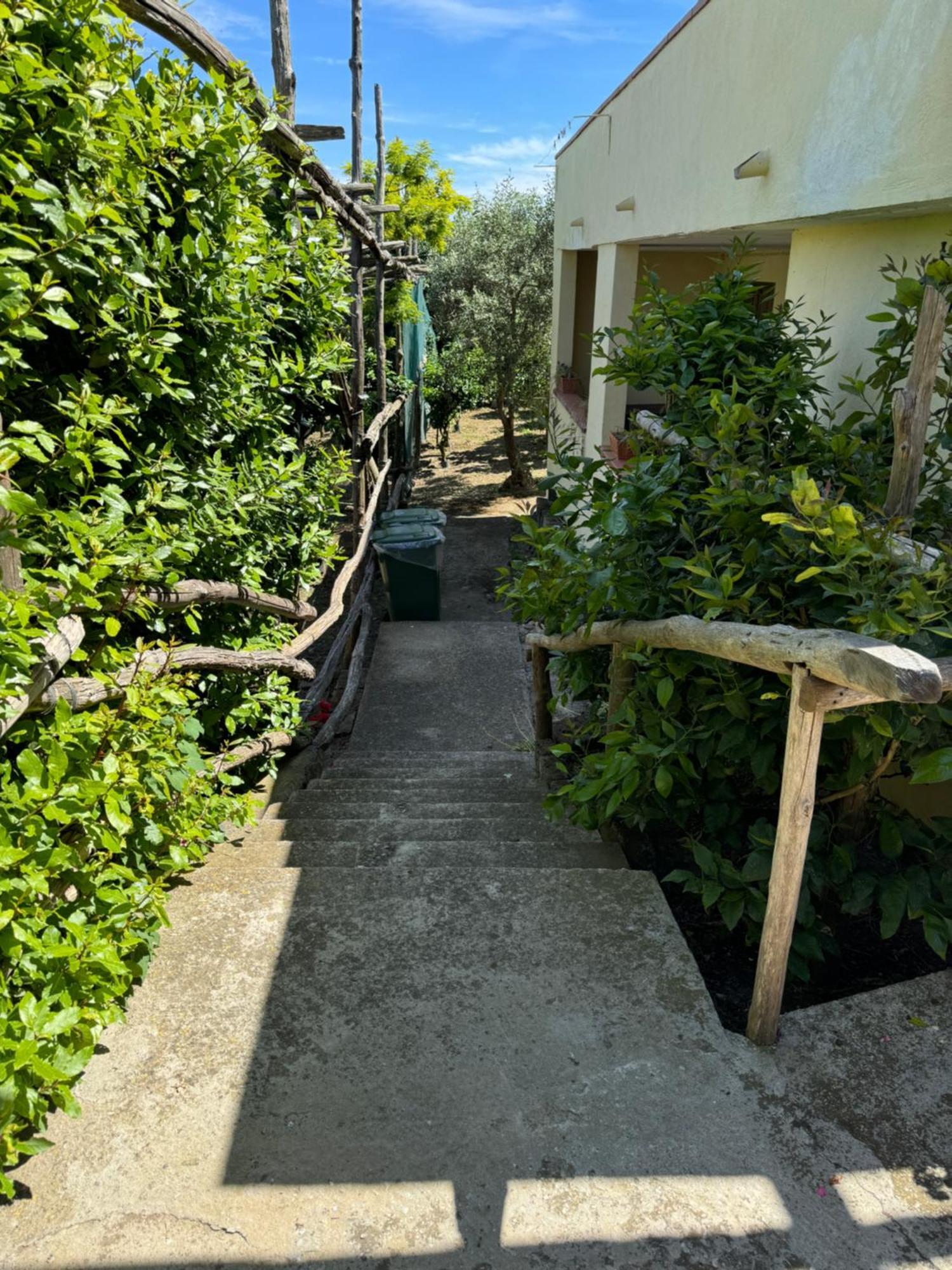 Agriturismo Piccolo Paradiso Piano di Sorrento Eksteriør bilde