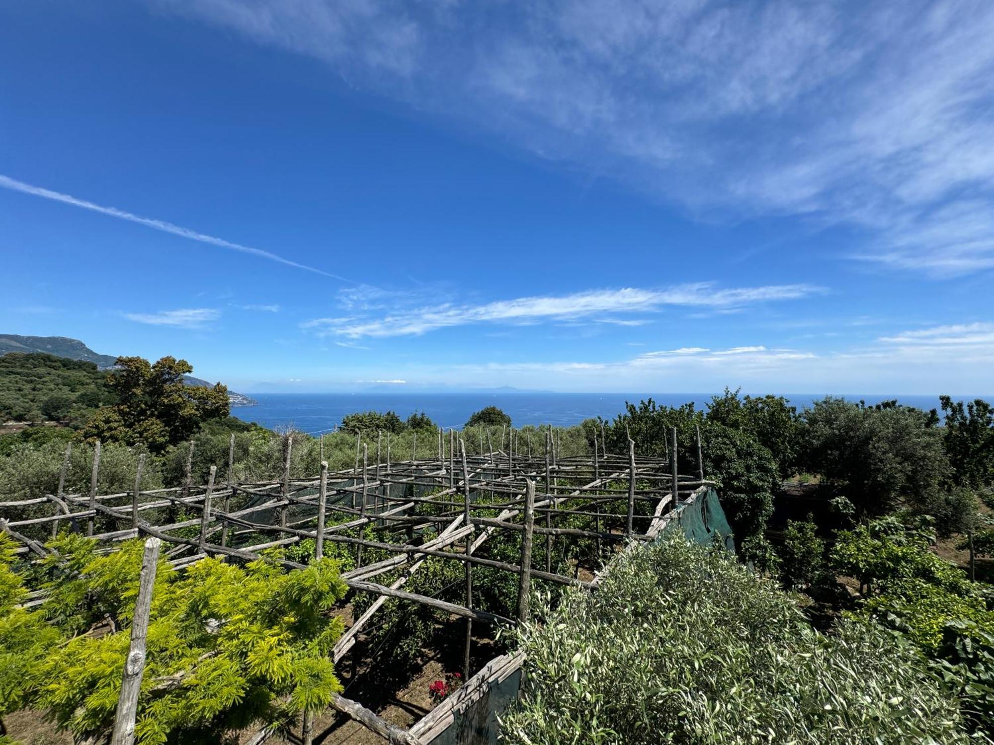 Agriturismo Piccolo Paradiso Piano di Sorrento Eksteriør bilde