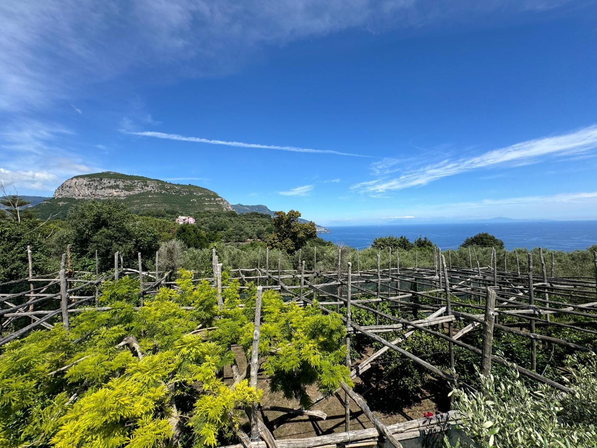 Agriturismo Piccolo Paradiso Piano di Sorrento Eksteriør bilde
