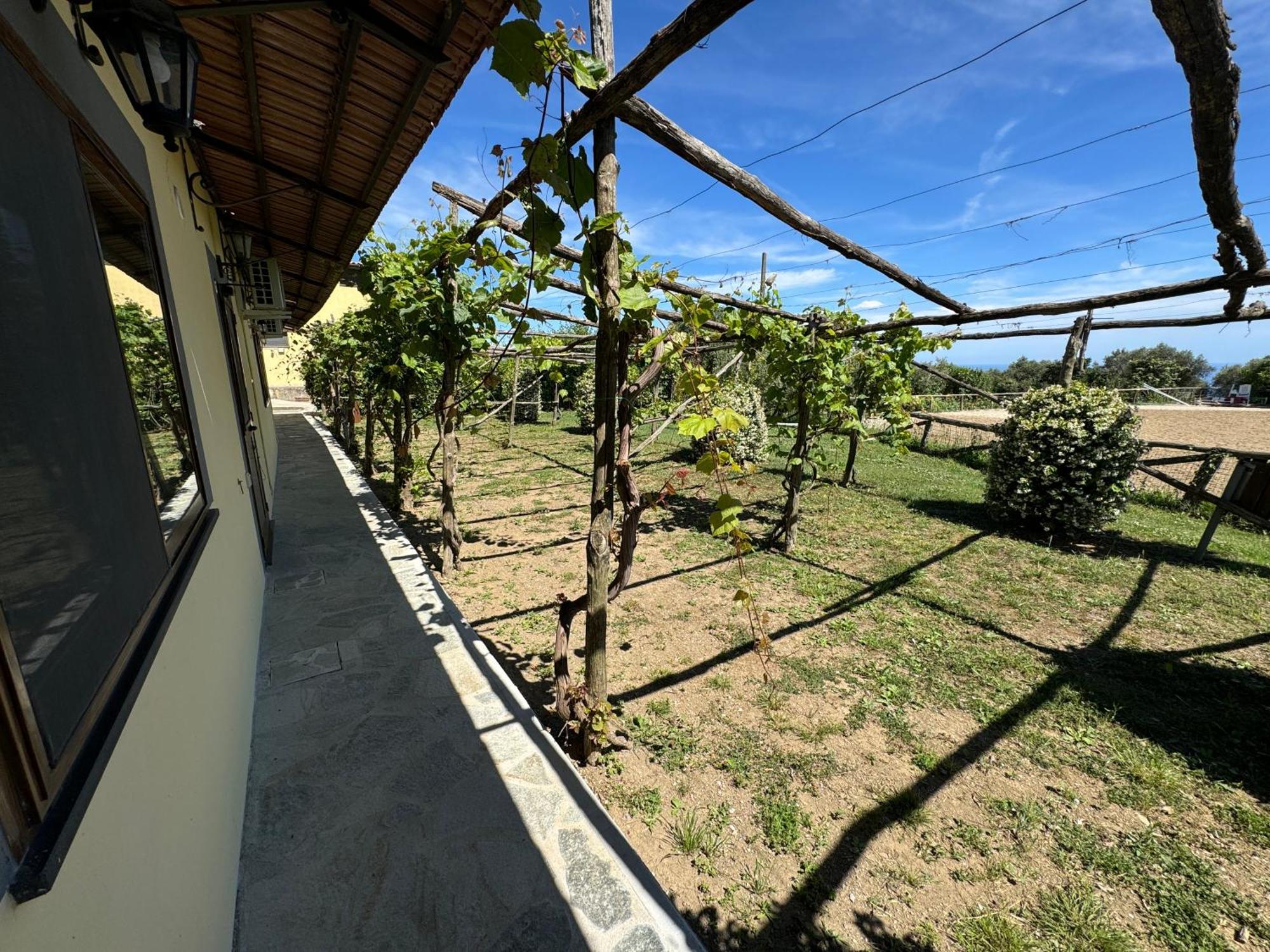 Agriturismo Piccolo Paradiso Piano di Sorrento Eksteriør bilde