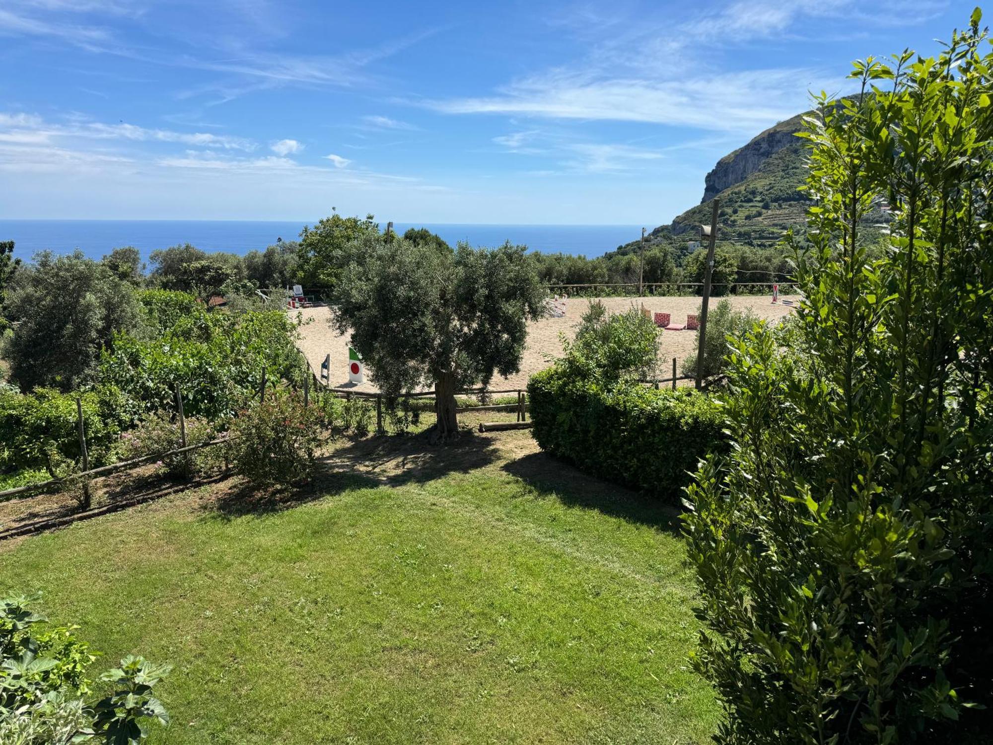 Agriturismo Piccolo Paradiso Piano di Sorrento Eksteriør bilde