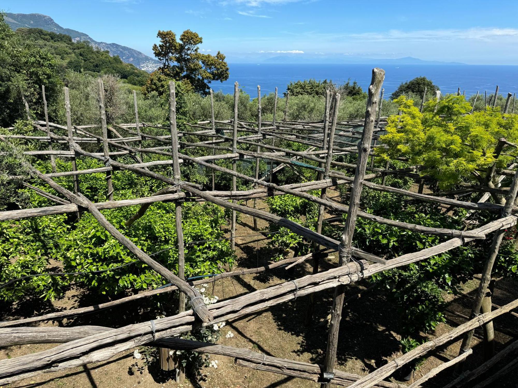 Agriturismo Piccolo Paradiso Piano di Sorrento Eksteriør bilde