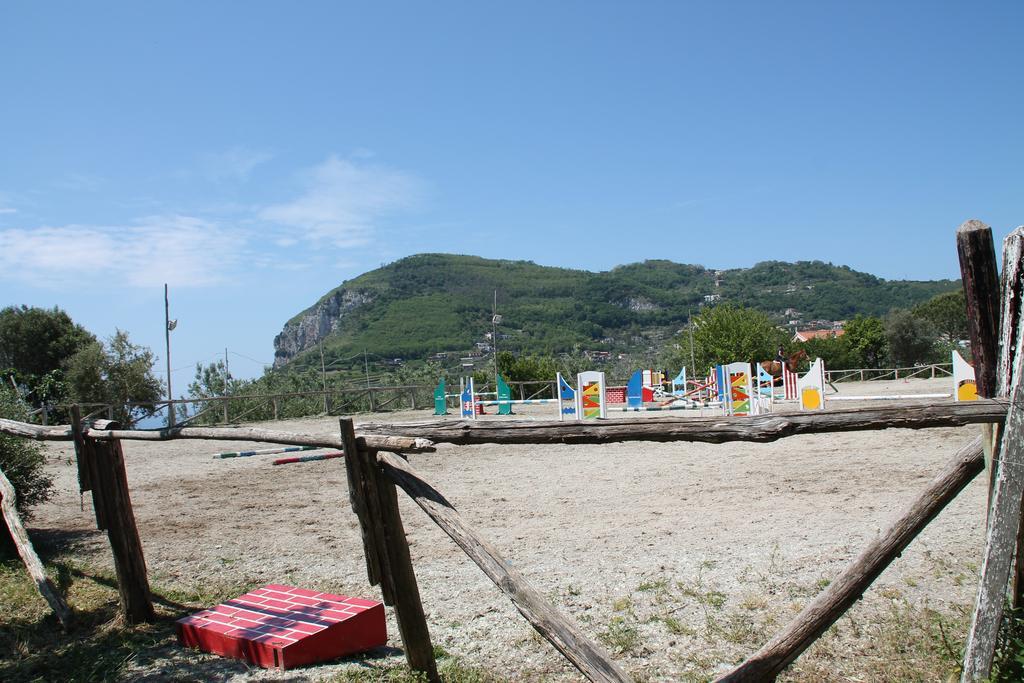 Agriturismo Piccolo Paradiso Piano di Sorrento Eksteriør bilde