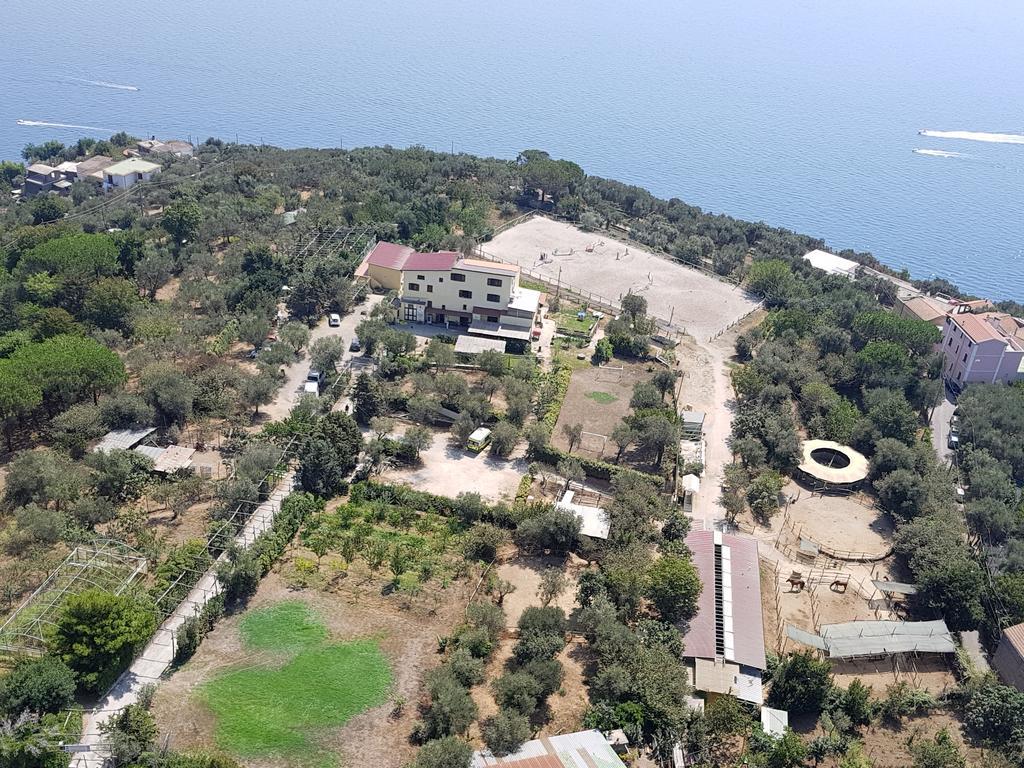 Agriturismo Piccolo Paradiso Piano di Sorrento Eksteriør bilde