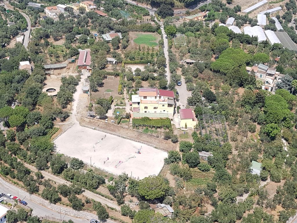 Agriturismo Piccolo Paradiso Piano di Sorrento Eksteriør bilde